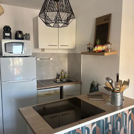 Copacabana T3 Piscine Privee Et A 30m * Canet-en-Roussillon